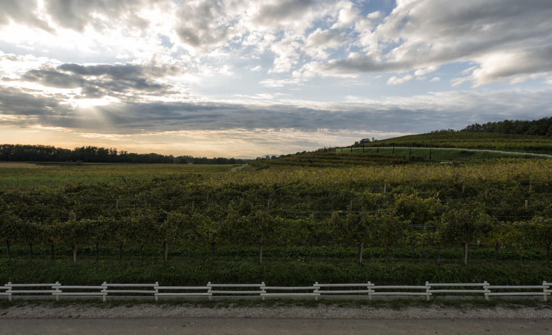 Tenimenti Civa approda nuovamente in televisione. A dicembre, protagonista su 7Gold e Telefriuli