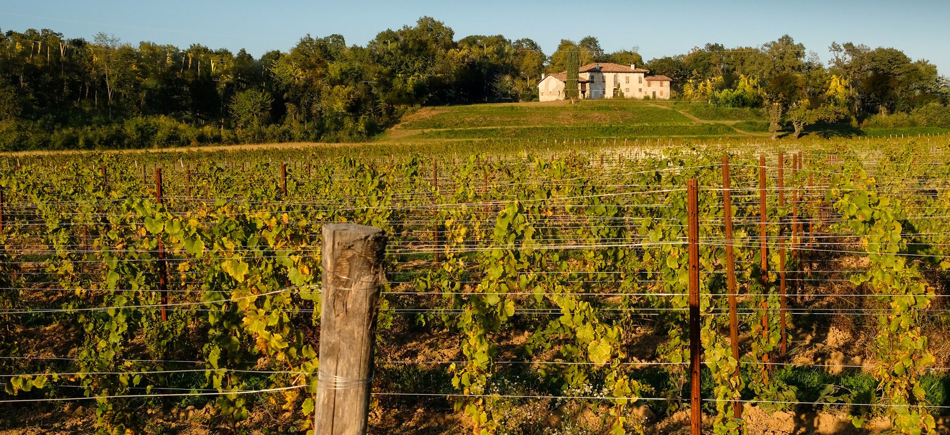 Podere Manzano e casa Trento