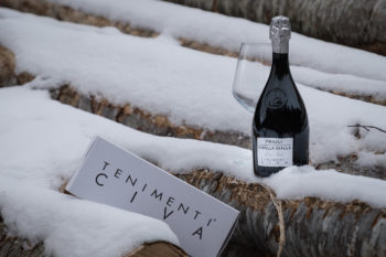 Ribolla Gialla dei Tenimenti Civa e mercato produttivo