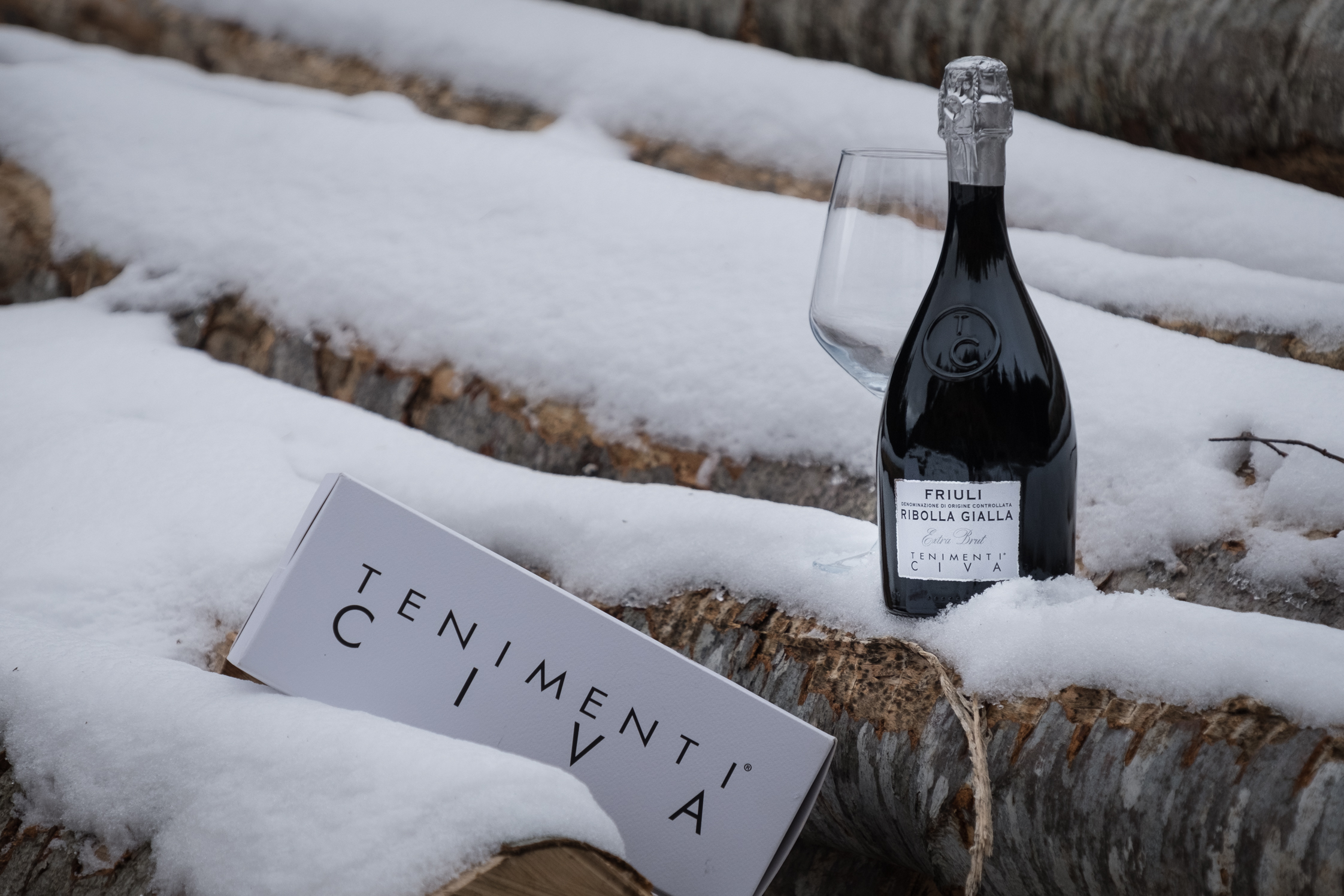 IL PROGETTO RIBOLLA GIALLA DEI TENIMENTI CIVA E IL SUO MERCATO