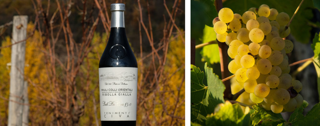 Vino Ribolla Gialla dalle origini a oggi nei Tenimenti Civa