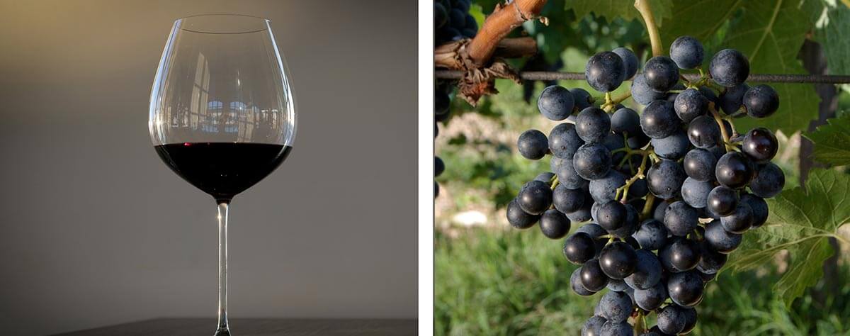 Il Refosco dal Peduncolo Rosso di Tenimenti Civa Abbinamenti Refosco dal Peduncolo Rosso