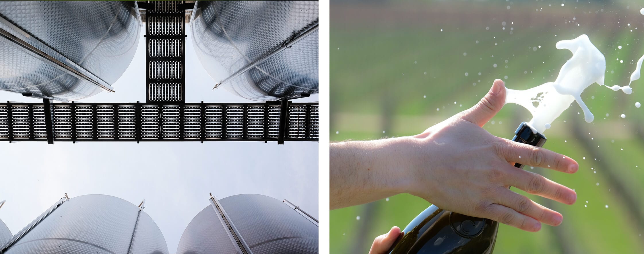 Metodo Charmat e Metodo Classico Metodo Charmat e Metodo Classico per la produzione di spumante