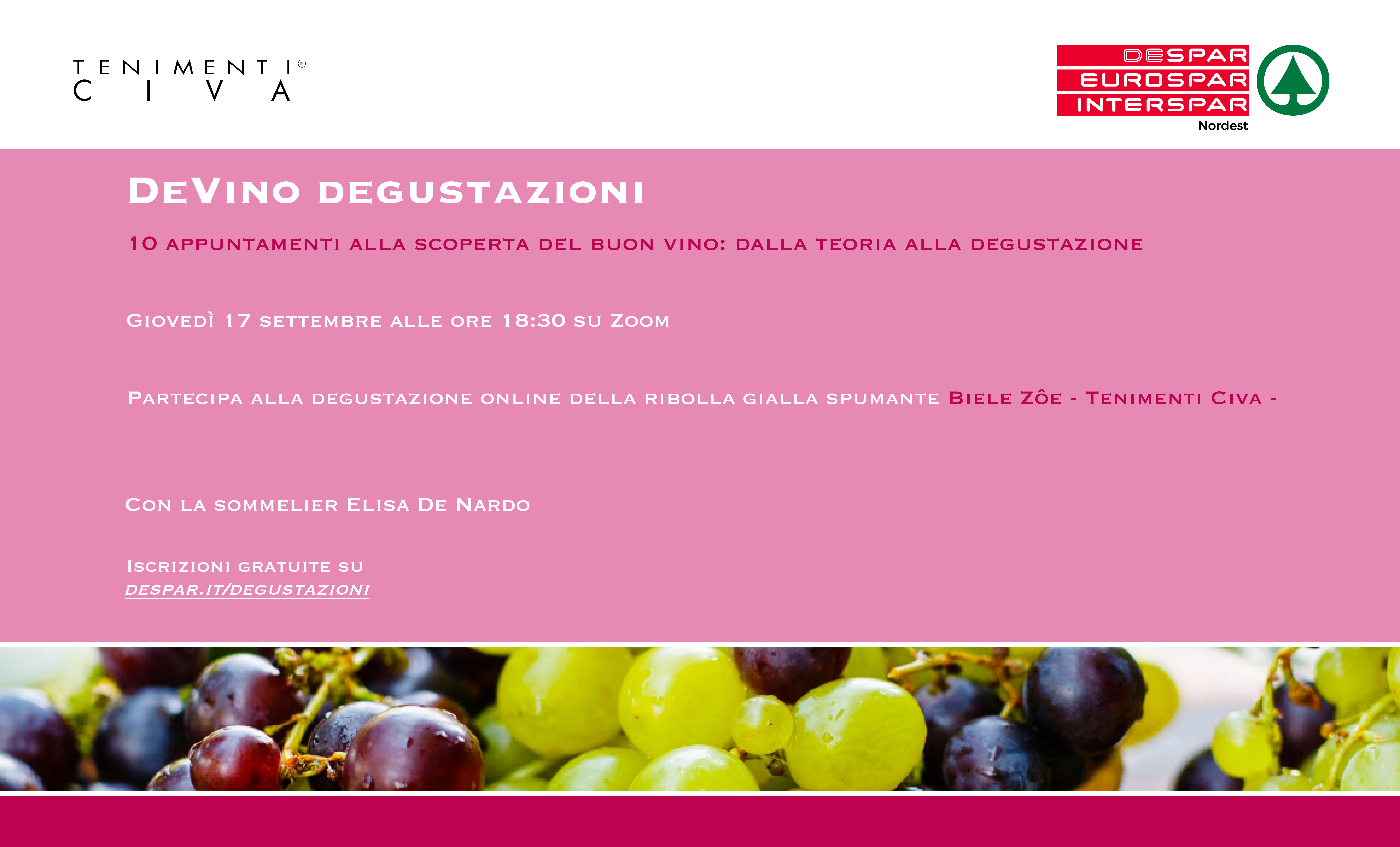 Discover good wine with us on Zoom: from theory to tasting with Tenimenti Civa, Despar, and Slow Food’s Elisa De Nardo