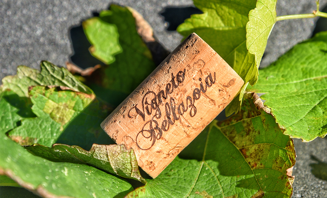 436 tonnellate in meno di CO2 nell’atmosfera