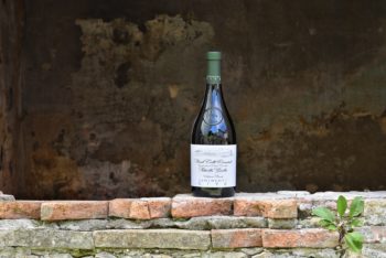 Ribolla Gialla Collezione Privata dei Tenimenti Civa Ribolla Gialla Collezione Privata dei Tenimenti Civa