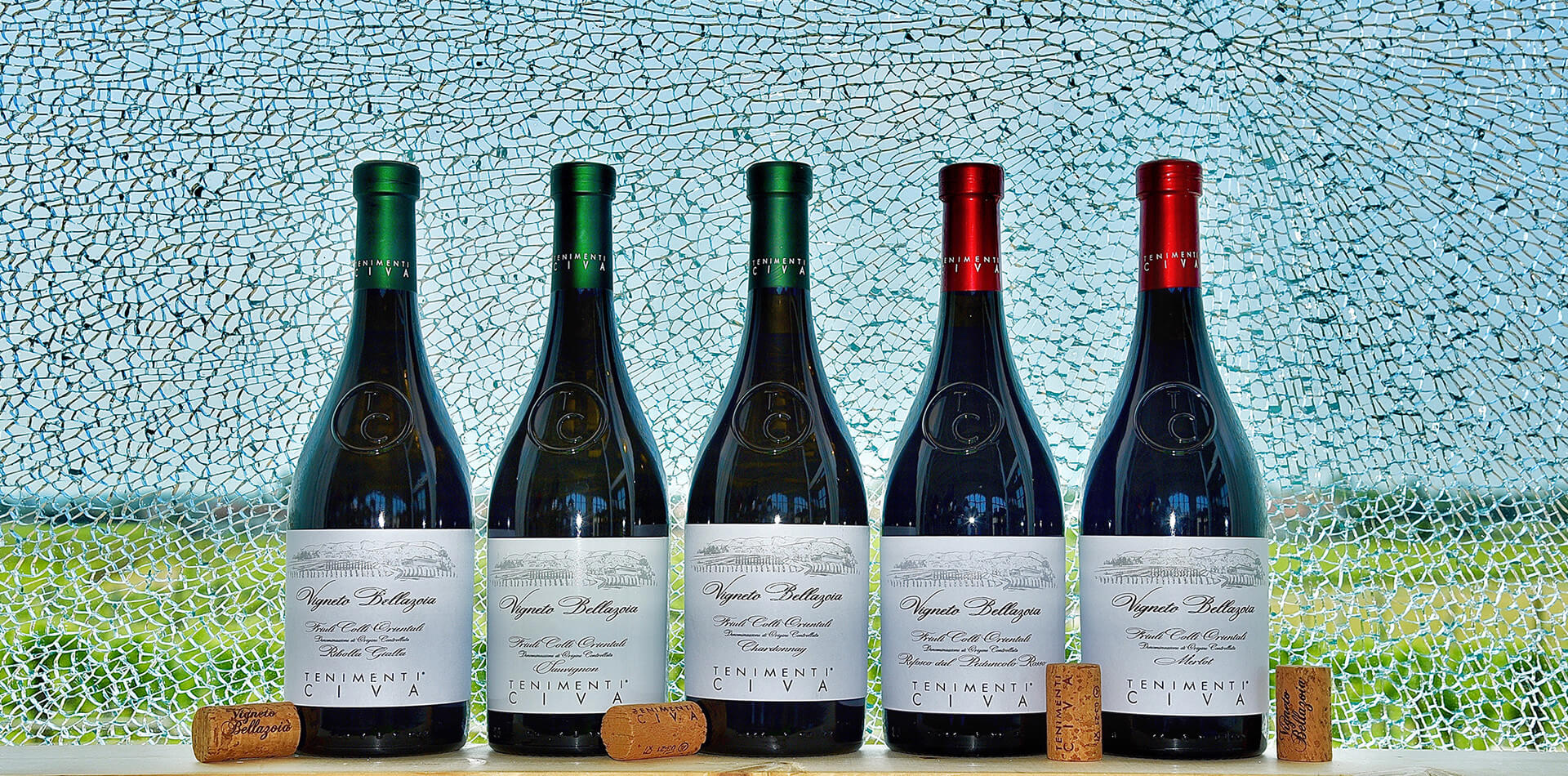 Line Vigneto Bellazoia Line Vigneto Bellazoia