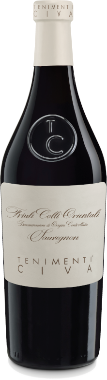 Sauvignon Linea Classica