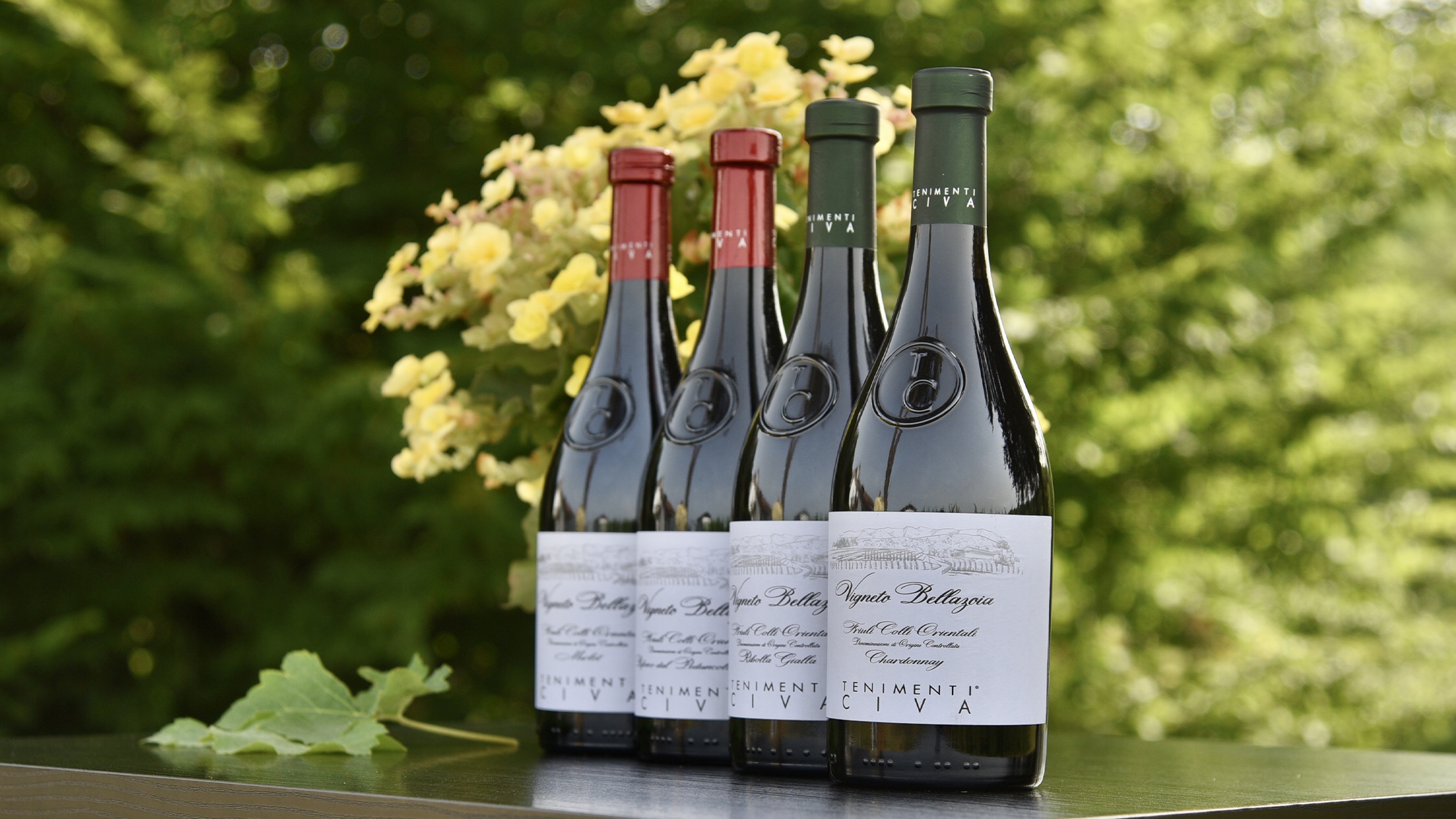 Decanter World Wine Awards: super premiati i Vini Tenimenti Civa