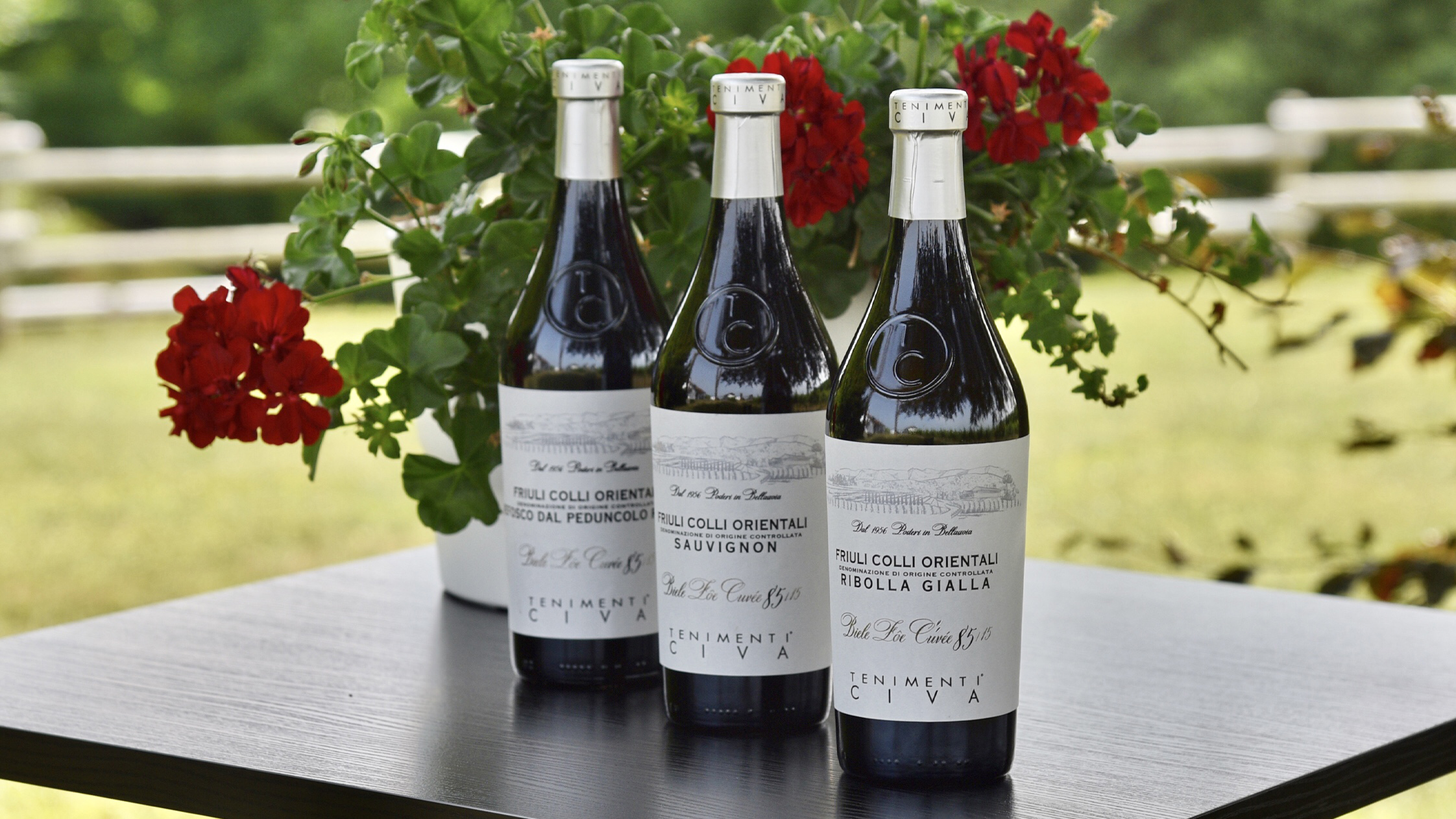 Decanter World Wine Awards: Biele Zôe wines on the podium