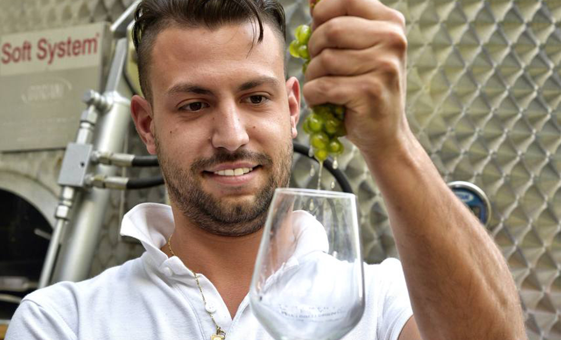 Il vino bianco: la vinificazione spiegata facile