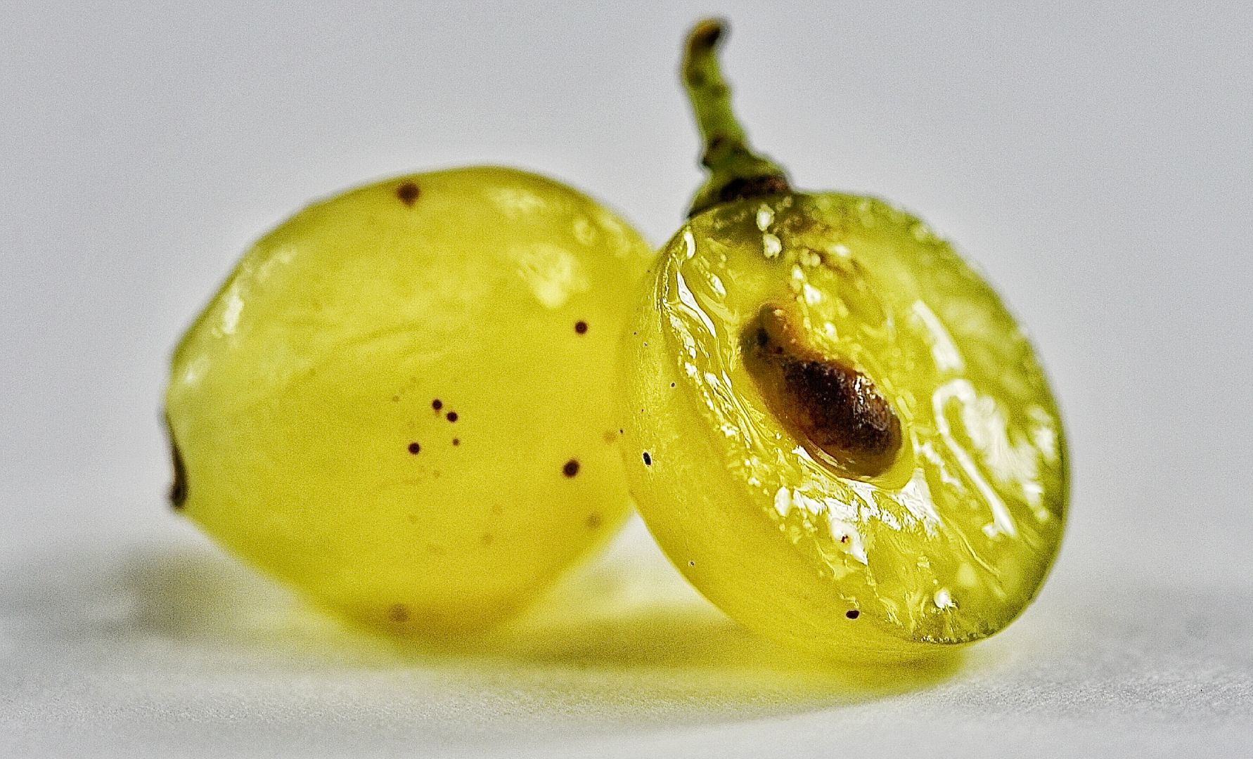 L’acino dell’uva, le sue caratteristiche