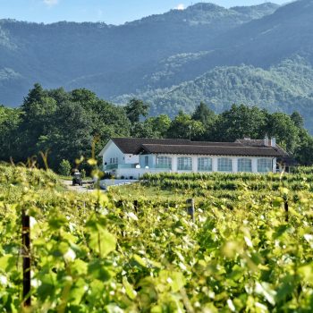 bellazoia di povoletto Tenimenti Civa