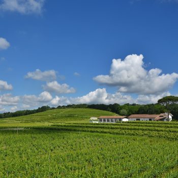 colli orientali bellazoia di povoletto