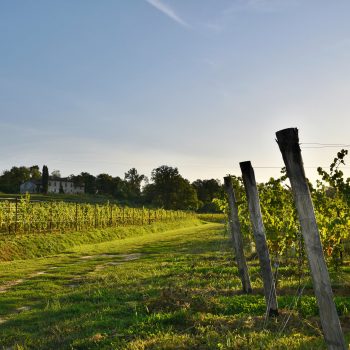 il podere di manzano scorcio