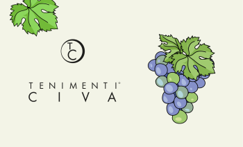 lavoro in vigna - primavera