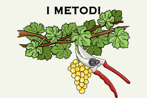 Metodi di vendemmia