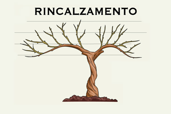 Rincalzamento delle viti