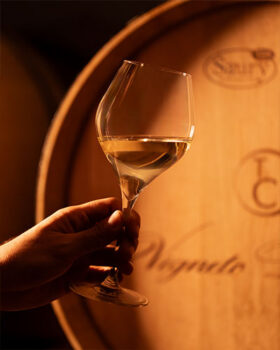 Ribolla Gialla TenimentiCiva