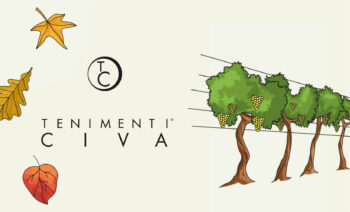 head image vendemmia 2023