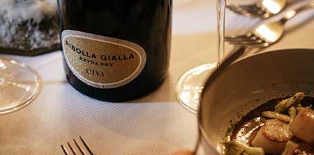 CopertinaLineaCivaNewLogo_450_mobile